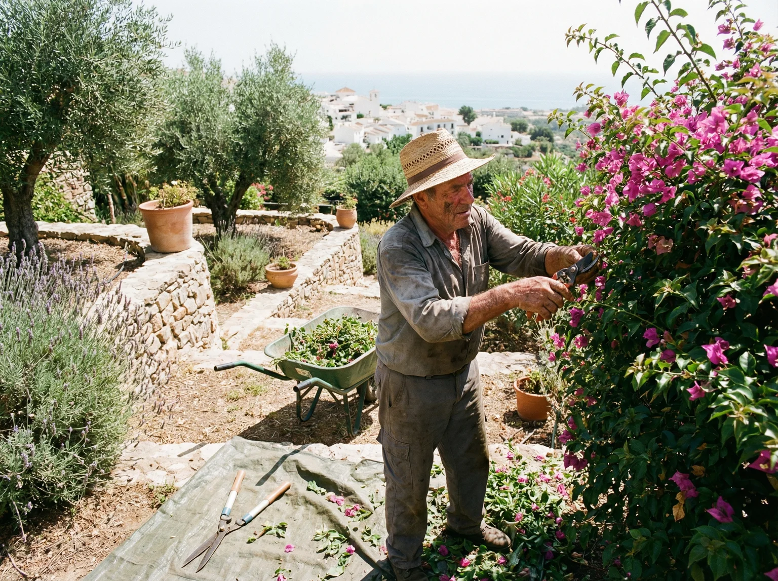 Gardener maintaining a Mediterranean garden in Spain