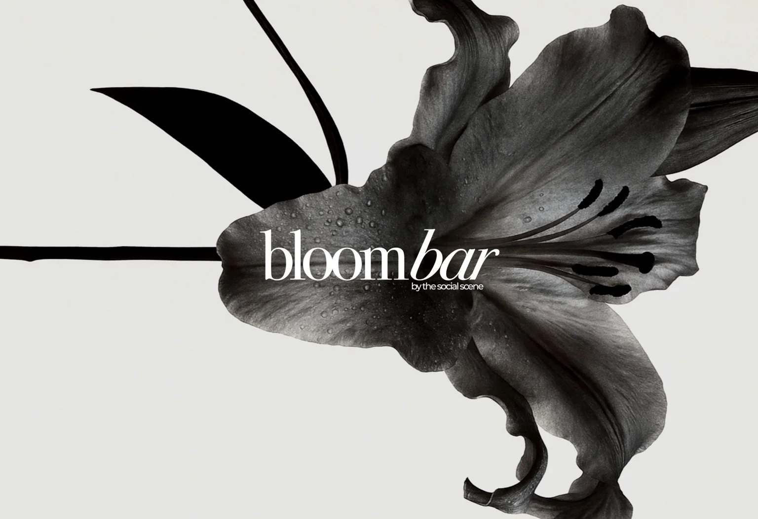 Bloom Bar