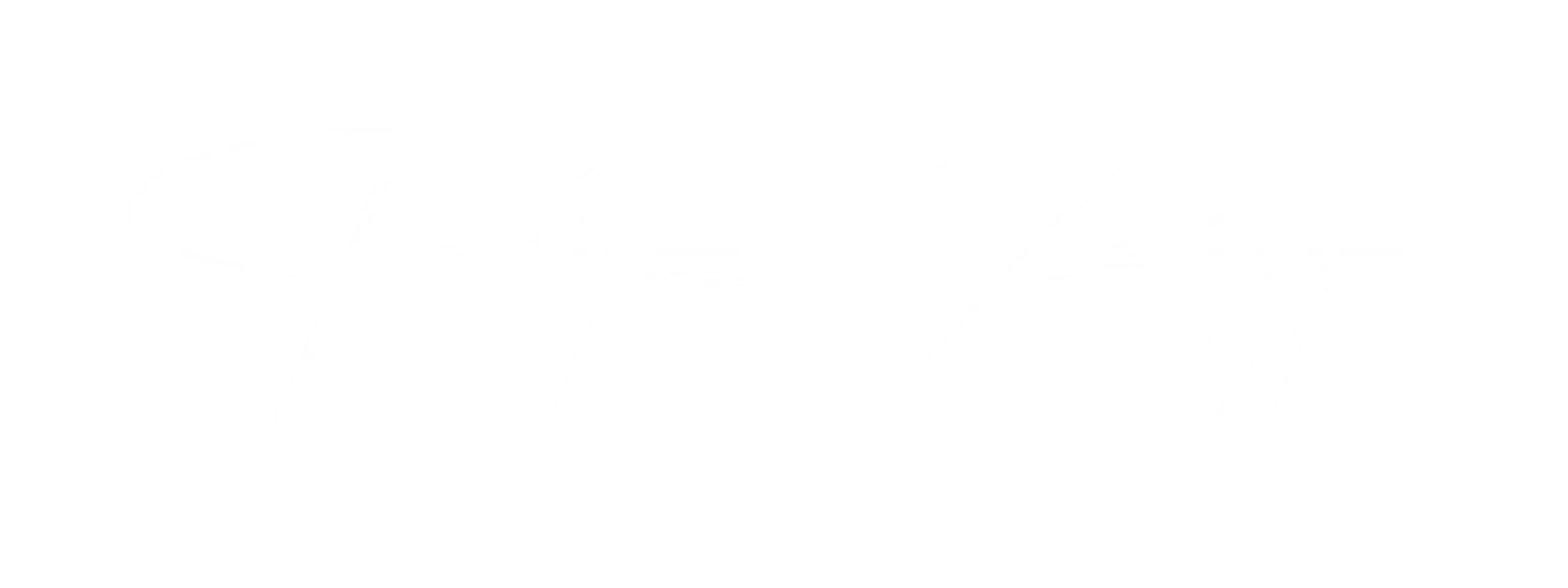 Timothy Zaritskyy signature