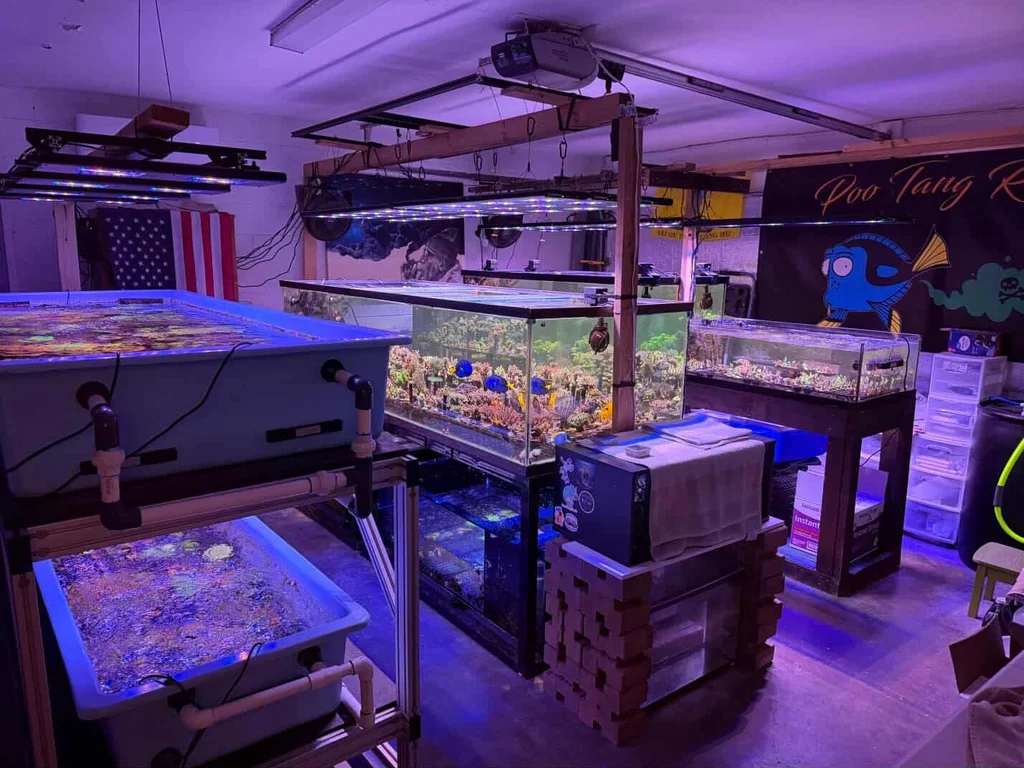 Poo Tang Reefs Farm Setup