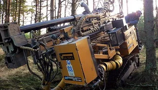 Gemrok metsässä