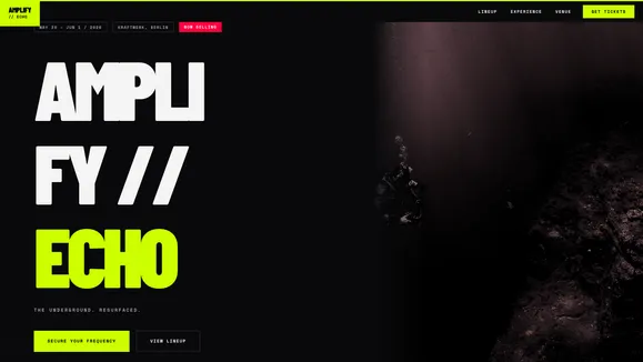 Sonic Echo Fest template preview